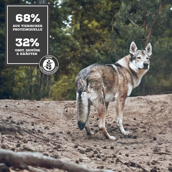 MOON Ranger Ente & Pute Mit Süßkartoffeln & Preiselbeeren 2 MOON Ranger Ente & Pute Mit Süßkartoffeln & Preiselbeeren – Bild 2