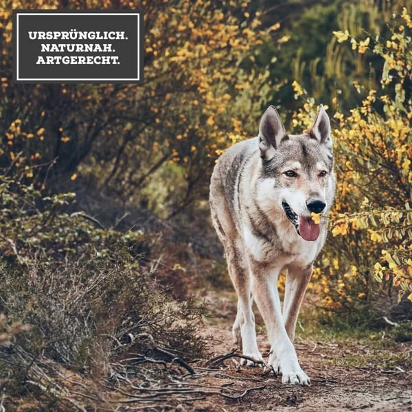 MOON Ranger Ente & Pute Mit Süßkartoffeln & Preiselbeeren 4 MOON Ranger Ente & Pute Mit Süßkartoffeln & Preiselbeeren – Bild 4