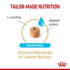 ROYAL CANIN Labrador Retriever Adult 5+ Trockenfutter Für Hunde Ab 5 Jahren -Haustierzubehör 3182550908412 3