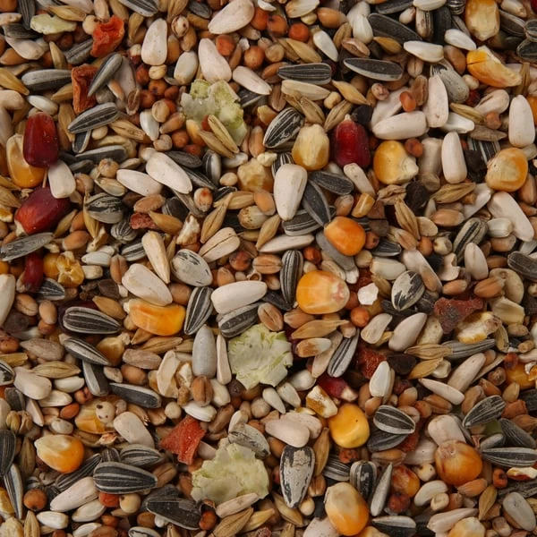 Vitakraft Menü Honig Für Papageien 2 Vitakraft Menü Honig Für Papageien – Bild 2