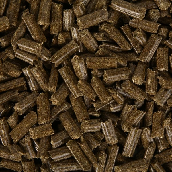 Bunny KaninchenTraum Young 2 Bunny KaninchenTraum Young – Bild 2