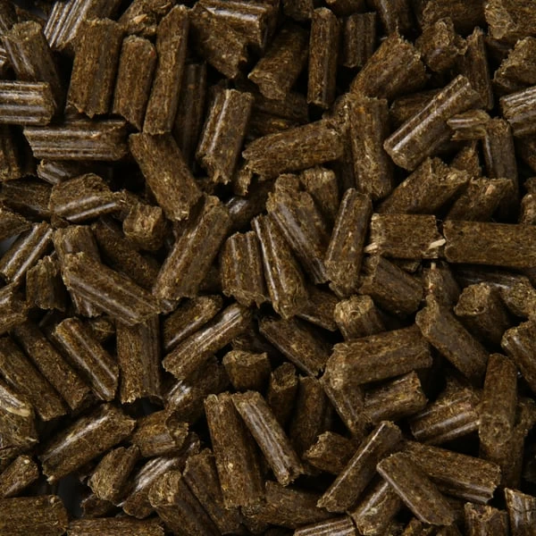 Bunny KaninchenTraum Senior 2 Bunny KaninchenTraum Senior – Bild 2