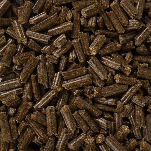 Bunny KaninchenTraum Oral 2 Bunny KaninchenTraum Oral – Bild 2