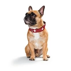 Hunter Halsband Swiss Nickel Rot/Schwarz -Haustierzubehör 41744 hunter halsband swiss nickel rot schwarz 00