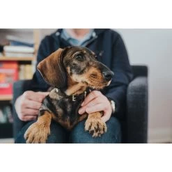 Hunter Halsband Swiss Nickel Braun/Schwarz -Haustierzubehör 41751 hunter halsband swiss nickel braun schwarz 00