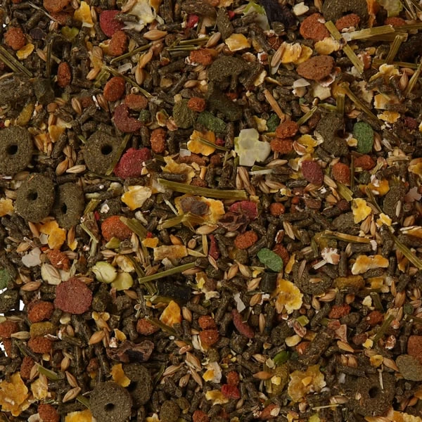 VERSELE-LAGA Versele Laga Crispy Muesli - Guinea Pigs - Meerschweinchen 2 VERSELE-LAGA Versele Laga Crispy Muesli - Guinea Pigs - Meerschweinchen – Bild 2