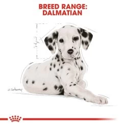 ROYAL CANIN Dalmatian Puppy Welpenfutter Für Dalmatiner -Haustierzubehör RoyalCanin Hundefutter Dalmatian Puppy 7