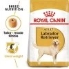 ROYAL CANIN Labrador Retriever Adult Hundefutter Trocken