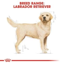 ROYAL CANIN Labrador Retriever Adult Hundefutter Trocken -Haustierzubehör RoyalCanin Hundefutter LabradorRetriever 5