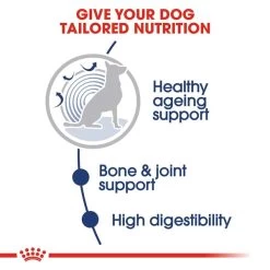 ROYAL CANIN MAXI Ageing 8+ Nassfutter Für ältere Große Hunde -Haustierzubehör RoyalCanin Hundefutter Maxi Ageing8plus Nassfutter inSosse 3