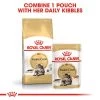 ROYAL CANIN ADULT Maine Coon 2kg + Nassfutter In Soße 12x85g