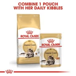 ROYAL CANIN ADULT Maine Coon 2kg + Nassfutter In Soße 12x85g