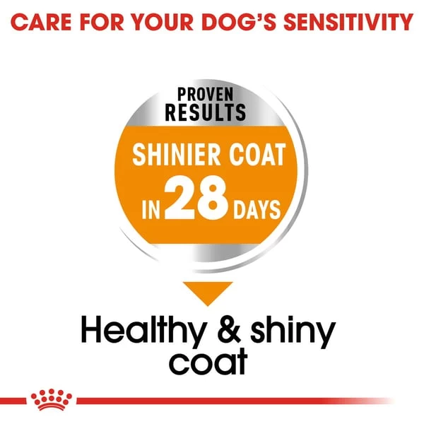 ROYAL CANIN COAT CARE MINI Trockenfutter Für Kleine Hunde Für Glänzendes Fell 3 ROYAL CANIN COAT CARE MINI Trockenfutter Für Kleine Hunde Für Glänzendes Fell – Bild 3