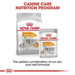 ROYAL CANIN COAT CARE MINI Trockenfutter Für Kleine Hunde Für Glänzendes Fell 12 ROYAL CANIN COAT CARE MINI Trockenfutter Für Kleine Hunde Für Glänzendes Fell -Haustierzubehör RoyalCanin Hundefutter CCN CoarCare Mini 6