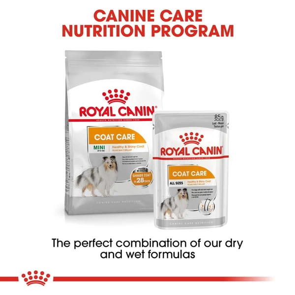ROYAL CANIN COAT CARE MINI Trockenfutter Für Kleine Hunde Für Glänzendes Fell 6 ROYAL CANIN COAT CARE MINI Trockenfutter Für Kleine Hunde Für Glänzendes Fell – Bild 6