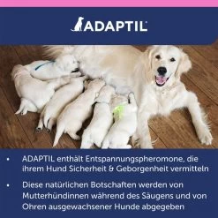 Adaptil Junior Halsband -Haustierzubehör adaptil junior halsband 10