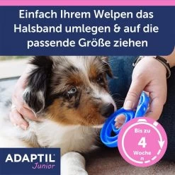 Adaptil Junior Halsband -Haustierzubehör adaptil junior halsband 4