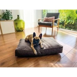 Aumüller Hundebett Basic Rechteckig 117 Cm 9 Aumüller Hundebett Basic Rechteckig 117 Cm -Haustierzubehör aumueller hundebett basic rechteckig web 1LoS5grkXsYXf7
