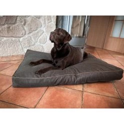 Aumüller Hundebett Basic Rechteckig 78 Cm 10 Aumüller Hundebett Basic Rechteckig 78 Cm -Haustierzubehör aumueller hundebett basic rechteckig web 4