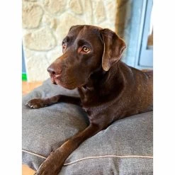 Aumüller Hundebett Basic Rechteckig 117 Cm 11 Aumüller Hundebett Basic Rechteckig 117 Cm -Haustierzubehör aumueller hundebett basic rechteckig web 6p050wG9nu5rHS