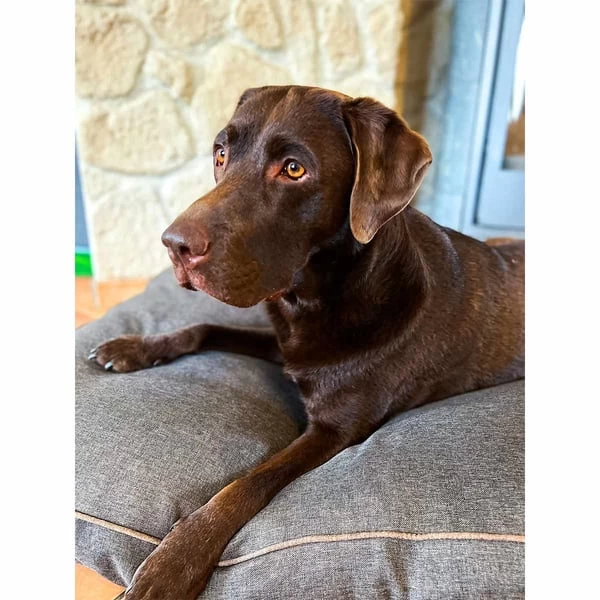 Aumüller Hundebett Basic Rechteckig 117 Cm 6 Aumüller Hundebett Basic Rechteckig 117 Cm – Bild 6