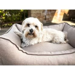 Aumüller Hundebett Sofa Basic 117 Cm -Haustierzubehör aumueller hundebett sofa basic beige web 8