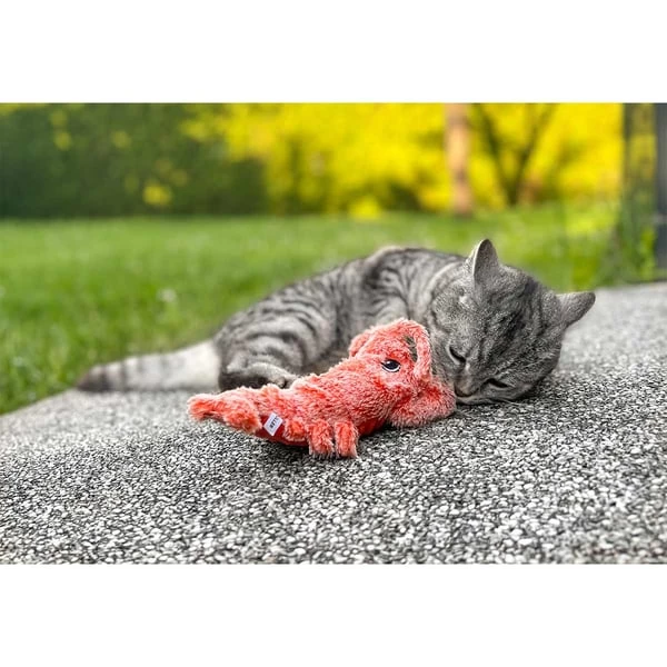 Aumüller Lucky Lobster Orange 9 Aumüller Lucky Lobster Orange – Bild 9