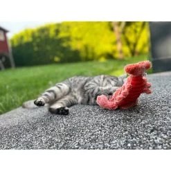 Aumüller Lucky Lobster Orange 18 Aumüller Lucky Lobster Orange -Haustierzubehör aumueller lucky lobster orange web 8