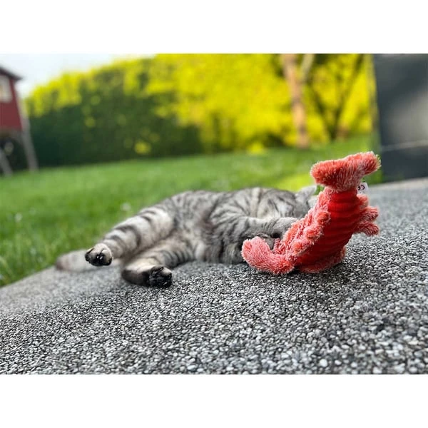 Aumüller Lucky Lobster Orange 8 Aumüller Lucky Lobster Orange – Bild 8