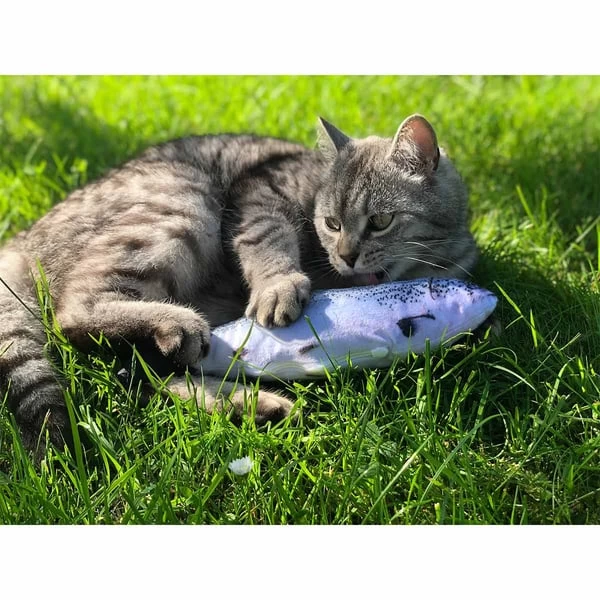 Aumüller Katzenspielkissen Zappel-Forelle 3 Aumüller Katzenspielkissen Zappel-Forelle – Bild 3