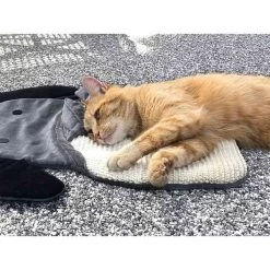 Aumüller Sisalkratzbrett Schmuse-Elefant Mit Katzenminze 11 Aumüller Sisalkratzbrett Schmuse-Elefant Mit Katzenminze -Haustierzubehör aumuller sisalkratzbrett schmuse elefant mit katzenminze 4