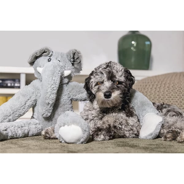 Beeztees XL Hundespielzeug Plüsch Elefant James Grau 3 Beeztees XL Hundespielzeug Plüsch Elefant James Grau – Bild 3