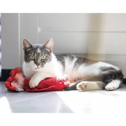 Beeztees Bewegender Hummer 9 Beeztees Bewegender Hummer -Haustierzubehör beeztees bewegender hummer 5