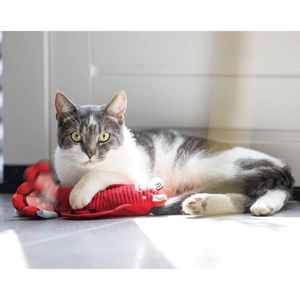 Beeztees Bewegender Hummer 5 Beeztees Bewegender Hummer – Bild 5