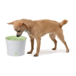 Catit Trinkbrunnen Für Katzen Und Kleine Hunde 3l -Haustierzubehör catit trinkbrunnen fuer katzen und kleine hunde 3l 3