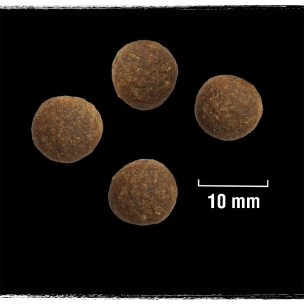 CRAVE Adult Mit Truthahn Und Huhn 2 CRAVE Adult Mit Truthahn Und Huhn – Bild 2