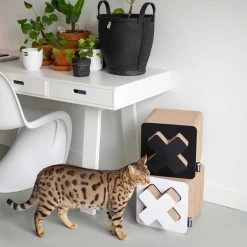 District 70 Kratzpappe Treasure Schwarz -Haustierzubehör district 70 kratzpappe treasure schwarz 4