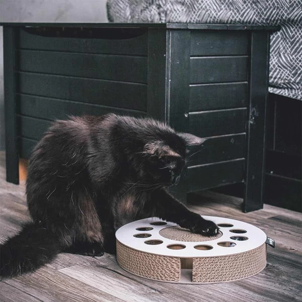 District 70 Kratzpappe WHIRL 2 District 70 Kratzpappe WHIRL – Bild 2