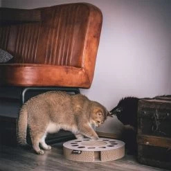 District 70 Kratzpappe WHIRL 6 District 70 Kratzpappe WHIRL -Haustierzubehör district 70 kratzpappe wellpappe whirl 3