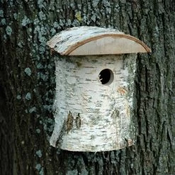 Dobar Naturbelassener Nistkasten Aus Birkenholz 5 Dobar Naturbelassener Nistkasten Aus Birkenholz -Haustierzubehör dobar wildlife nistkasten birke 3