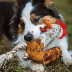 DUVO+ Farm Friends Ruby Rooster 37cm -Haustierzubehör duvoplus farm friends ruby rooster 37cm web 4