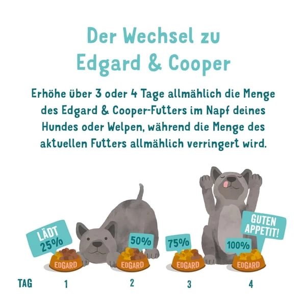 Edgard & Cooper Edgard&Cooper Junior Ente & Huhn 6 Edgard & Cooper Edgard&Cooper Junior Ente & Huhn – Bild 6