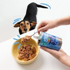 Edgard & Cooper Edgard&Cooper Adult Lachs & Truthahn 10 Edgard & Cooper Edgard&Cooper Adult Lachs & Truthahn -Haustierzubehör edgard cooper hund adult nassfutter lachs truthahn 400g web 3