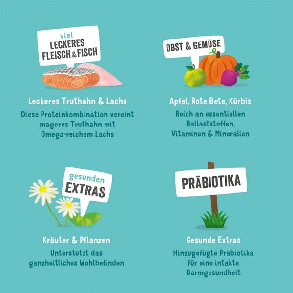 Edgard & Cooper Edgard&Cooper Adult Lachs & Truthahn 2 Edgard & Cooper Edgard&Cooper Adult Lachs & Truthahn – Bild 2