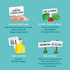 Edgard & Cooper Edgard&Cooper Senior Huhn & Lachs 11 Edgard & Cooper Edgard&Cooper Senior Huhn & Lachs -Haustierzubehör edgard cooper hund senior nassfutter huhn lachs 400g web 53TVzio2kZyp4u