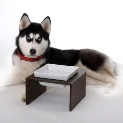 Replus Futterstation Meshidai Einzelnapf Schwarz - -Haustierzubehör futterstation meshidai einzelnapf schwarz lackiert2 152554d6ed592e