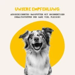 Dogs'n Tiger Fein Gemacht Junior Nassfutter Huhn -Haustierzubehör futterungsempfehlung hundenassfutter 6Sw5HbEfUuH2aC