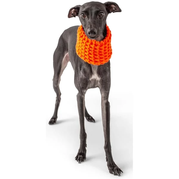 GF Pet Scout Schlauchschal Orange 1 GF Pet Scout Schlauchschal Orange