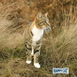 Happy Cat Bio Pouch Huhn & Ente 11 Happy Cat Bio Pouch Huhn & Ente -Haustierzubehör happy cat bio pouch huhn und ente 85g 6