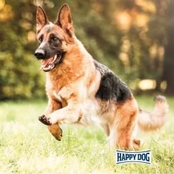 Happy Dog Supreme Fit & Vital Sport 14kg+1kg Gratis -Haustierzubehör happy dog fit und vital sport 6kIWwtGnAsStw6